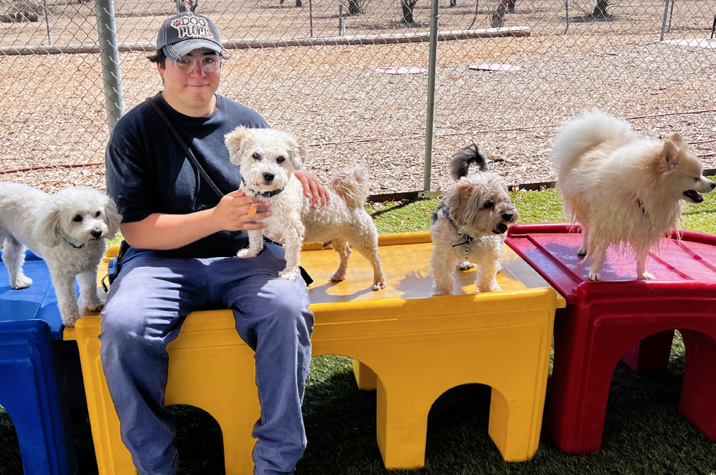 Kennel Services Operation Freedom Paws