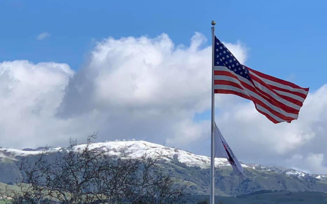 Operation Freedom Paws dedicates flag