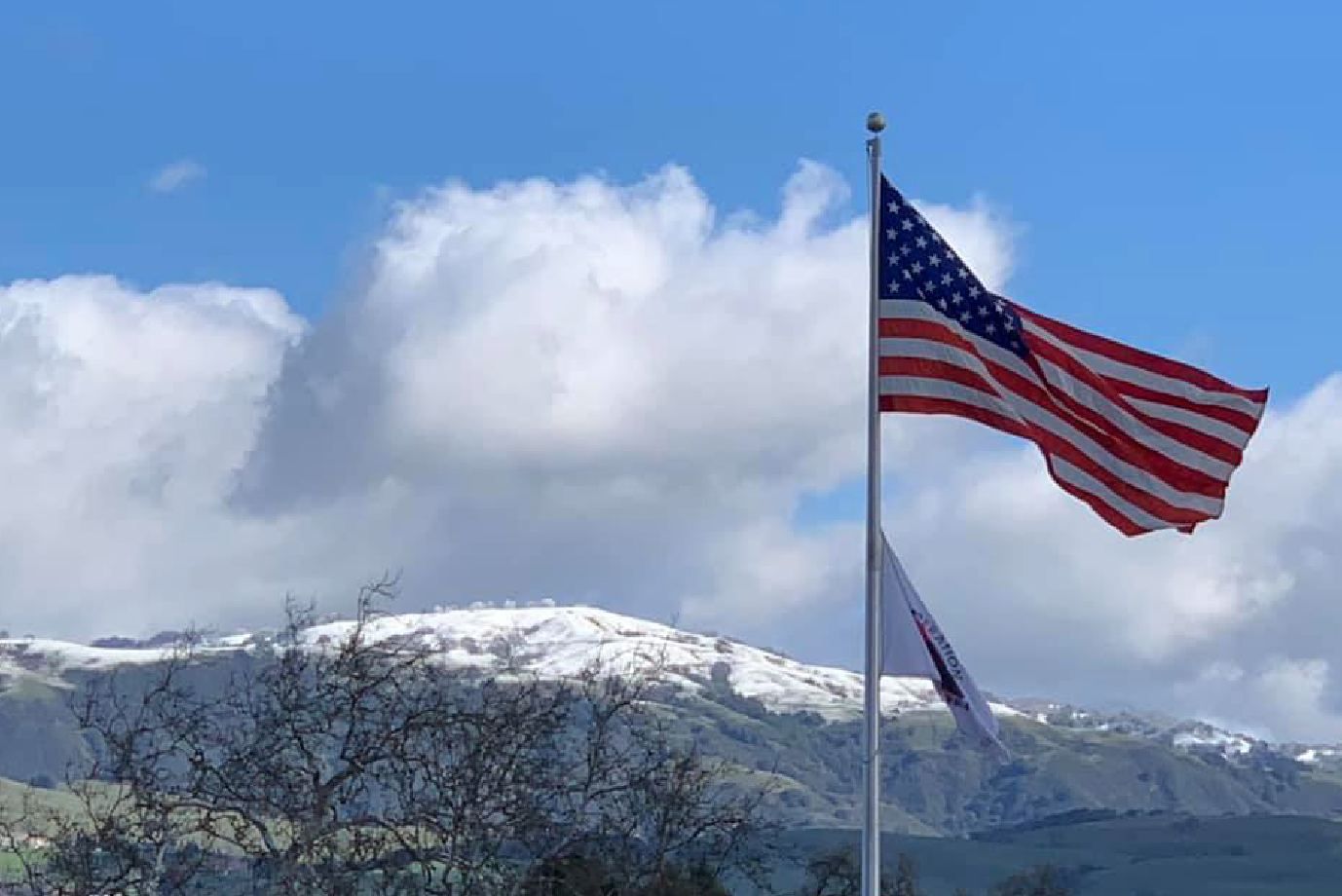 Operation Freedom Paws dedicates flag