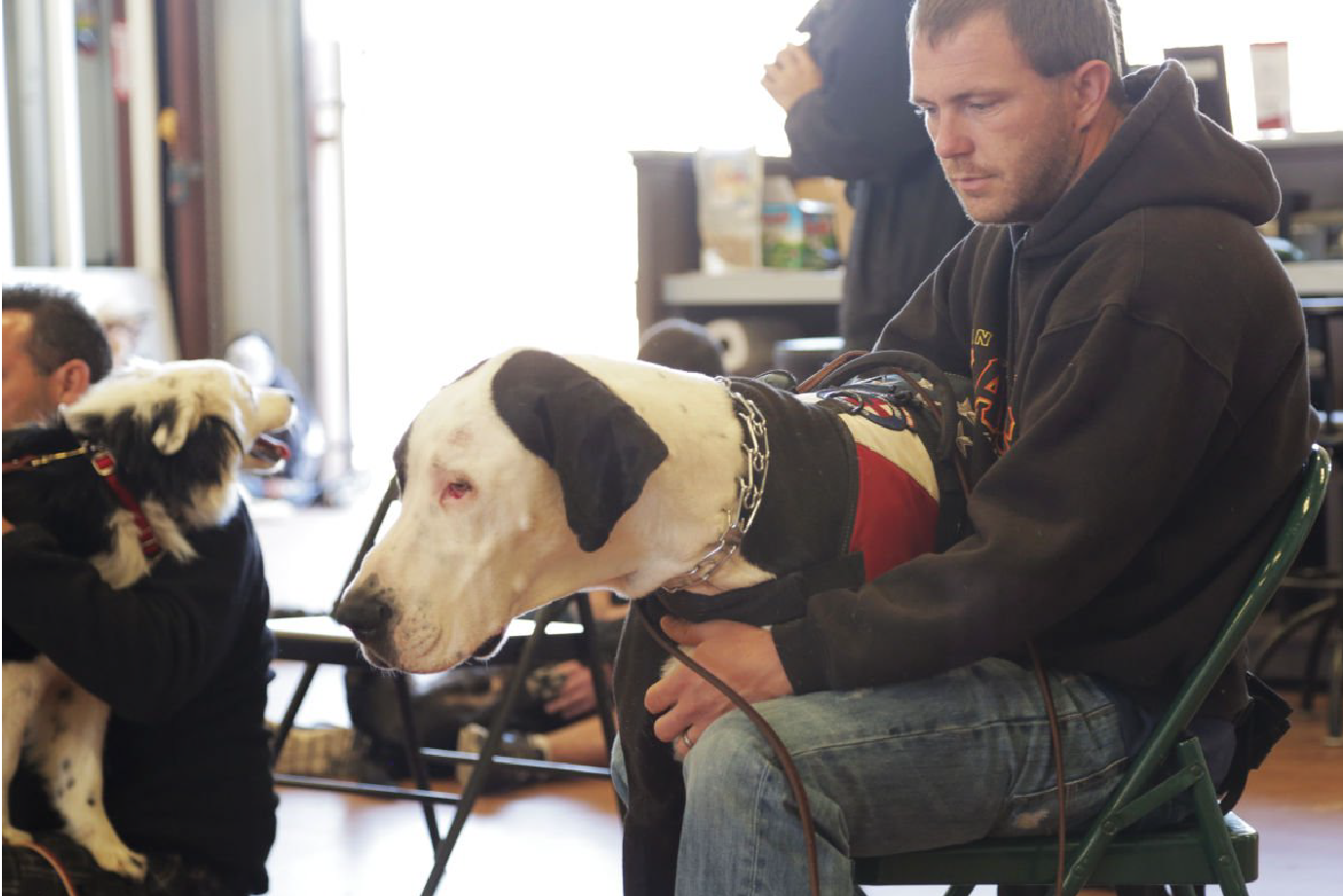 Nonprofit group provides service dogs, training to veterans with ...