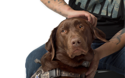 Veteran Ramon and His Service Dog Huey Win the Purina Visible Impact Award
