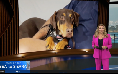 Operation Freedom Paws Featured on CBS News: Service Dogs Changing Veterans’ Lives